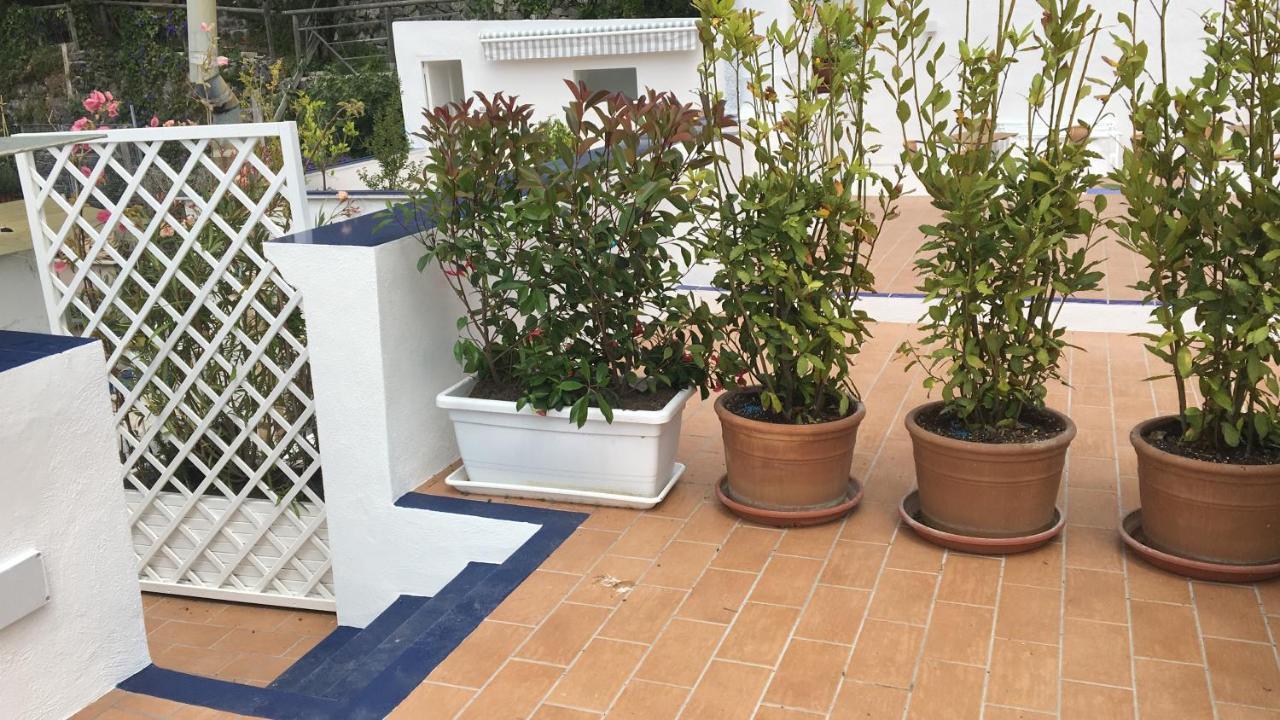 Panorama Da Cartolina Apartment Ischia Exterior photo